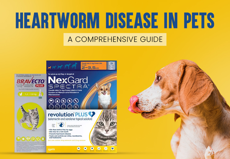 Heartworm Disease in Pets
